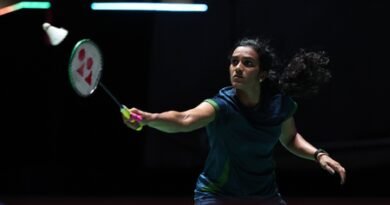 <div>Sindhu supports ‘efforts’ to tackle monkey menace at World Championship venue</div>