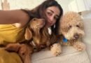 Ananya Panday spends Friendship Day with her fur buddies: Need somebody to lean on