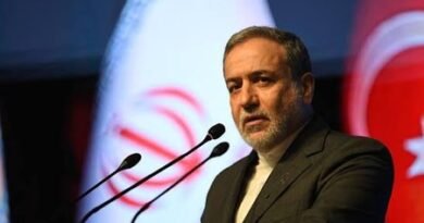 <div>Iran’s FM says talks with Oman on Hormuz Strait in final stages</div>