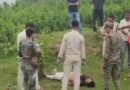 Alert issued across Jharkhand after gangster Sujit Sinha killed in police encounter