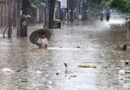 Meghalaya govt donates Rs 1 crore for Assam flood relief