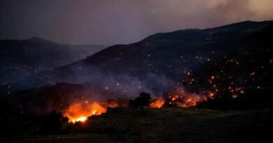 Wildfire in Netherlands not fully extinguished, but under control, says authorities