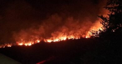 Serbia battles wildfires as extreme heat, drought intensify