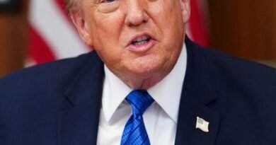 Trump signs executive order to impose 15 per cent tariff on polysilicon imports