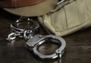 Delhi Police recovers 30 rolls of banned Chinese manja, one arrested