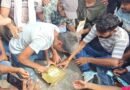 <div>J’khand Gen-Z protest: Students cut birthday cake for ‘Hemu Chacha’, Spider-Man joins Assembly march</div>