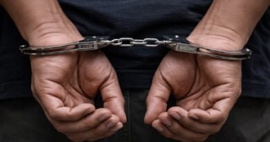 <div>Son brutally murders elderly mother in Maharashtra’s Vashi; arrested</div>