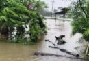 Rain continues across MP for third day, disrupts normal life; more showers likely
