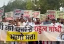 <div>Waving ‘Rahul Gandhi bhago mat’ posters, NDA MPs stage protest march in Parliament premises</div>
