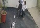 Couple attacked by pitbull while viewing rental home in Punjab, video emerges