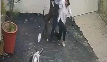 Couple attacked by pitbull while viewing rental home in Punjab, video emerges