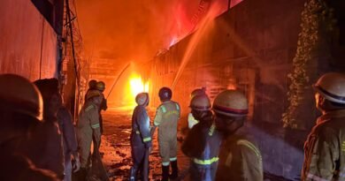 Two killed as fire breaks out at warehouse in Delhi’s Raghubir Nagar