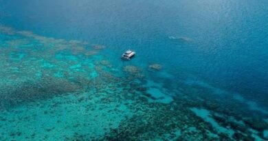 Researchers in Australia develop new tool to assess Great Barrier Reef health