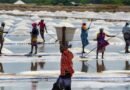 <div>TN’s Vedaranyam salt producers near annual target as summer heat boosts output</div>