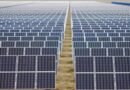 Solar expansion in China causes bird diversity decline: Report