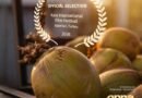 <div>Nimisha Sajayan-starrer ‘Enna Vilai’ selected for Turkey’s Kaia International Film Festival</div>