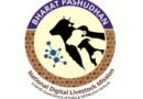 NADCP contributing to more disease-secure livestock sector in India