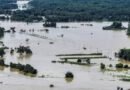 Leptospirosis cases rise in Philippine capital amid flooding