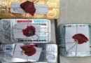 1,250 suspected fake Nicardia tablets seized in Gujarat