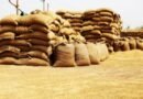 17-tonne ration rice haul seized near Kerala border, TN Revenue official assaulted