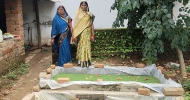 Chhattisgarh: Women from SHGs find employment in Azolla production, thank govt