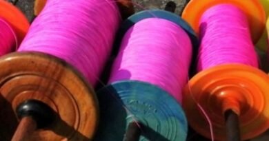 Retired soldier falls victim to lethal kite string in Jammu