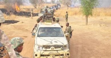 Eight killed in suspected Boko Haram raid in Cameroon