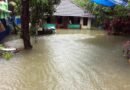 Heavy rain lashes Kerala; schools shut in nine districts as IMD puts state on Yellow alert
