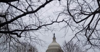 US Republicans account for nearly three-quarters of taxpayer-funded mail spending: Report