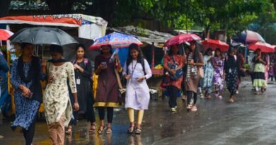 Light rain forecast in Tamil Nadu, Puducherry and Karaikal; gusty winds likely