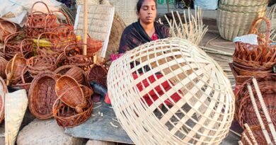 Bamboo sector reforms open doors to greater innovation, entrepreneurship