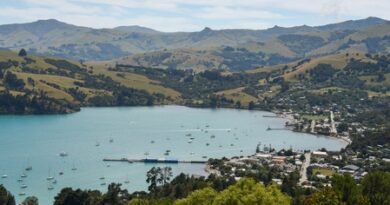 <div>New Zealand’s international education export earnings surge past pre-COVID levels: minister</div>