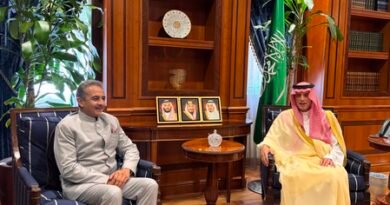<div>India, Saudi Arabia review ‘excellent’ state of bilateral relations</div>