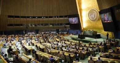 US, EU reject UN pandemic plan