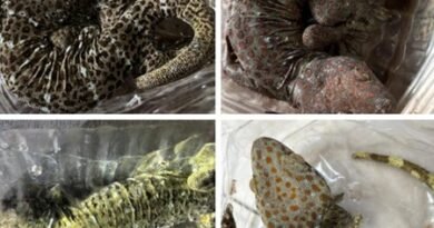 DRI cracks down on illegal wildlife trade in 6 operations, 13 held
