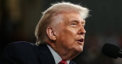 <div>Trump’s Irish unification remarks draw opposition from Britain</div>