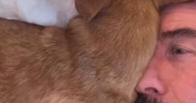 John Travolta’s dog Peanut celebrates bath time with adorable face licks