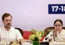 <div>Rahul backs Mamata faction, slams EC over TMC name, symbol freeze; accuses BJP of ‘party theft’</div>