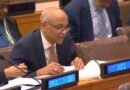 <div>Shipping ‘must not become targets of geopolitical tensions’: India</div>
