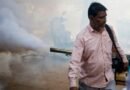 Dengue cases surge in Tamil Nadu with onset of monsoon