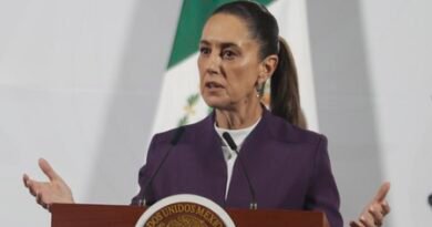 Mexico-US trade talks making progress: President Sheinbaum