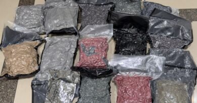 8.9 kg hydroponic marijuana seized at Ahmedabad airport, Mumbai man held