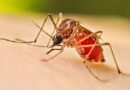 Chennai hospitals struggle with surge in flu, respiratory infections and dengue