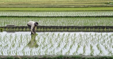 Tamil Nadu halts crop loan recovery, orders fresh credit to eligible farmers