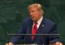 Nearly 30 nations join Gaza peace board: Trump