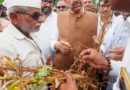 Maha CM orders urgent crop damage assessment