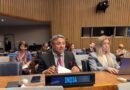 India bats for stable maritime zones, continuity of statehood for island and coastal States