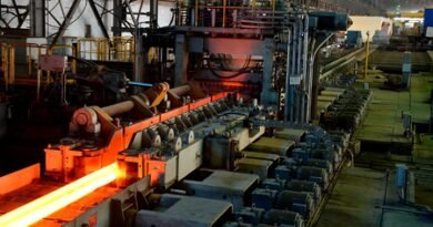 Govt sets up apex body to boost safety in steel sector