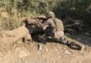 <div>Terrorists trapped in Yusmarg area of J&K’s Budgam, security operation underway</div>