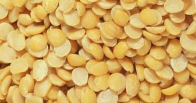 GI-tagged Gulbarga Tur Dal exported to Maldives; farmers get 30% higher realisation